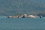 Gull Island