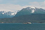Gull Island