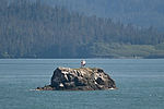 Sixty Foot Rock