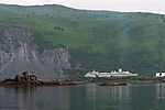 Holland America ms Amsterdam