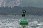 Cormorants