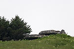 WWII Bunkers