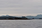 Wildlife Cruise