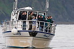 Wildlife Cruise