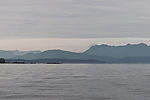Wildlife Cruise