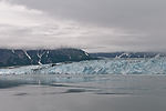Cruising Hubbard Glacier