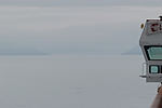Cruising Hubbard Glacier