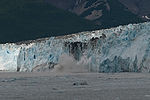 Glacier Calving