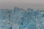 Cruising Hubbard Glacier