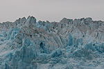 Cruising Hubbard Glacier
