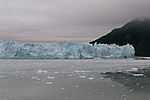 Cruising Hubbard Glacier
