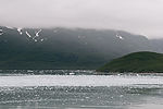 Cruising Hubbard Glacier