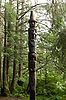 Sitka Park's Totem Trail