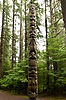 Sitka Park's Totem Trail