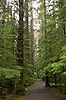 Sitka National Historical Park