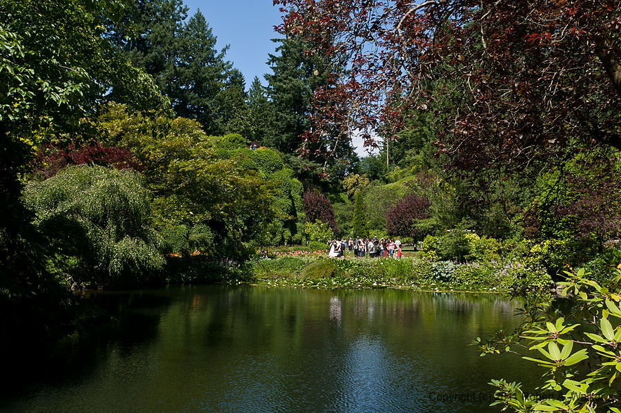 IMG_56.jpg