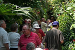 Victoria Butterfly Gardens