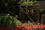 Butchart Gardens