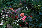 Butchart Gardens