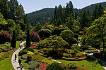 Sunken Garden