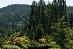 Sunken Garden
