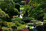 Sunken Garden