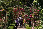 Rose Garden