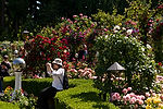 Rose Garden