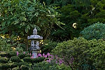 Japanese Garden