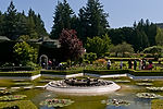 Star Pond
