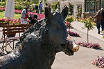 Butchart Gardens