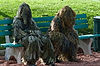 Kent International Festival