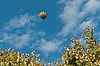 Balloons over Kent International Festival
