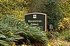 Wahkeena Falls