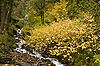 Wahkeena Falls