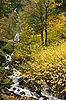 Wahkeena Falls
