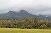 Along Columbia River Highway