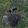 Eagle's Nest at Brecksville Reservation