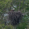 Eagle's Nest at Brecksville Reservation