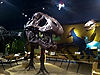 Cleveland Museum of Natural History