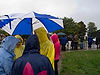 Rain Still Falling