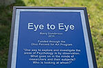 Eye to Eye Sculpture
