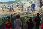 Penguin Feeding