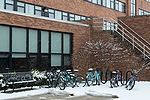 Bicycles Outside Olson Hall