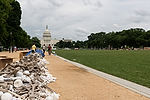 "One Million Bones" Preparation