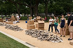 "One Million Bones" Preparation