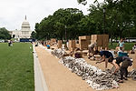"One Million Bones" Preparation
