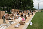 "One Million Bones" Preparation