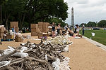 "One Million Bones" Preparation