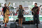 The Armadillos